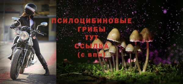 spice Белоозёрский