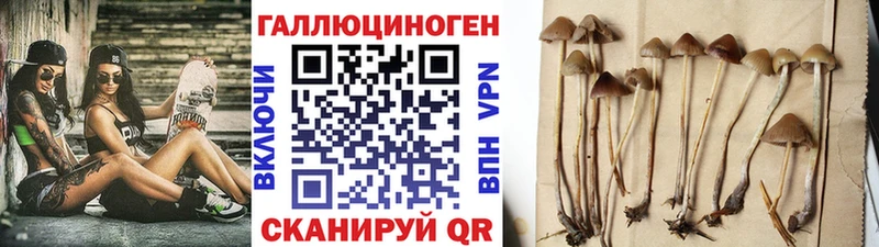 Галлюциногенные грибы Magic Shrooms  darknet наркотические препараты  Верещагино 